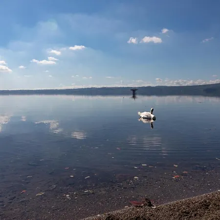 La Luna Sul Lago *